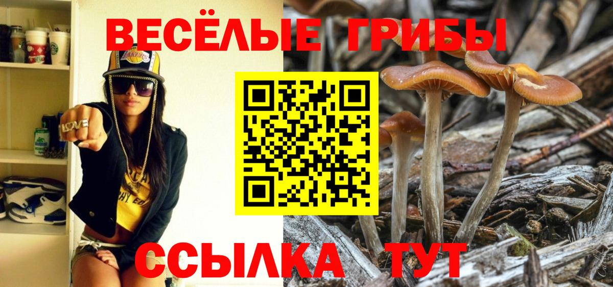 Псилоцибиновые грибы Magic Shrooms  Галлюциногенные грибы мухоморы  Вход с VPN  Всеволожск 