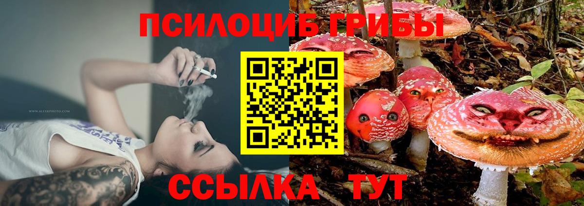 Псилоцибиновые грибы Psilocybine cubensis Всеволожск